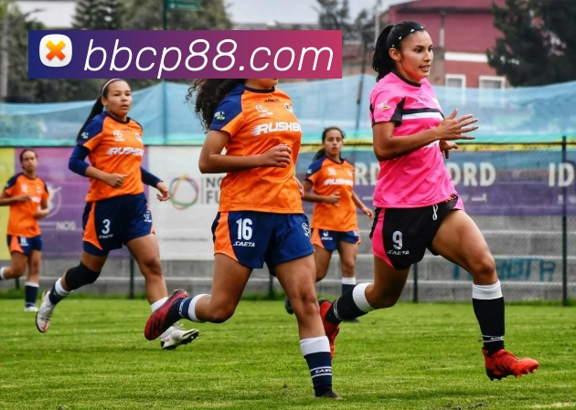 企业概况